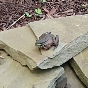 Meet your Posher, Robin